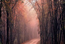 中原内配这只股票怎么样:股票+杠杆-工业母机赛道利好来袭 上半年净利润规模居前的概念股名单出炉